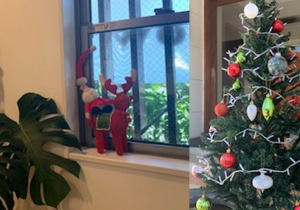 クリスマスプレゼント♪