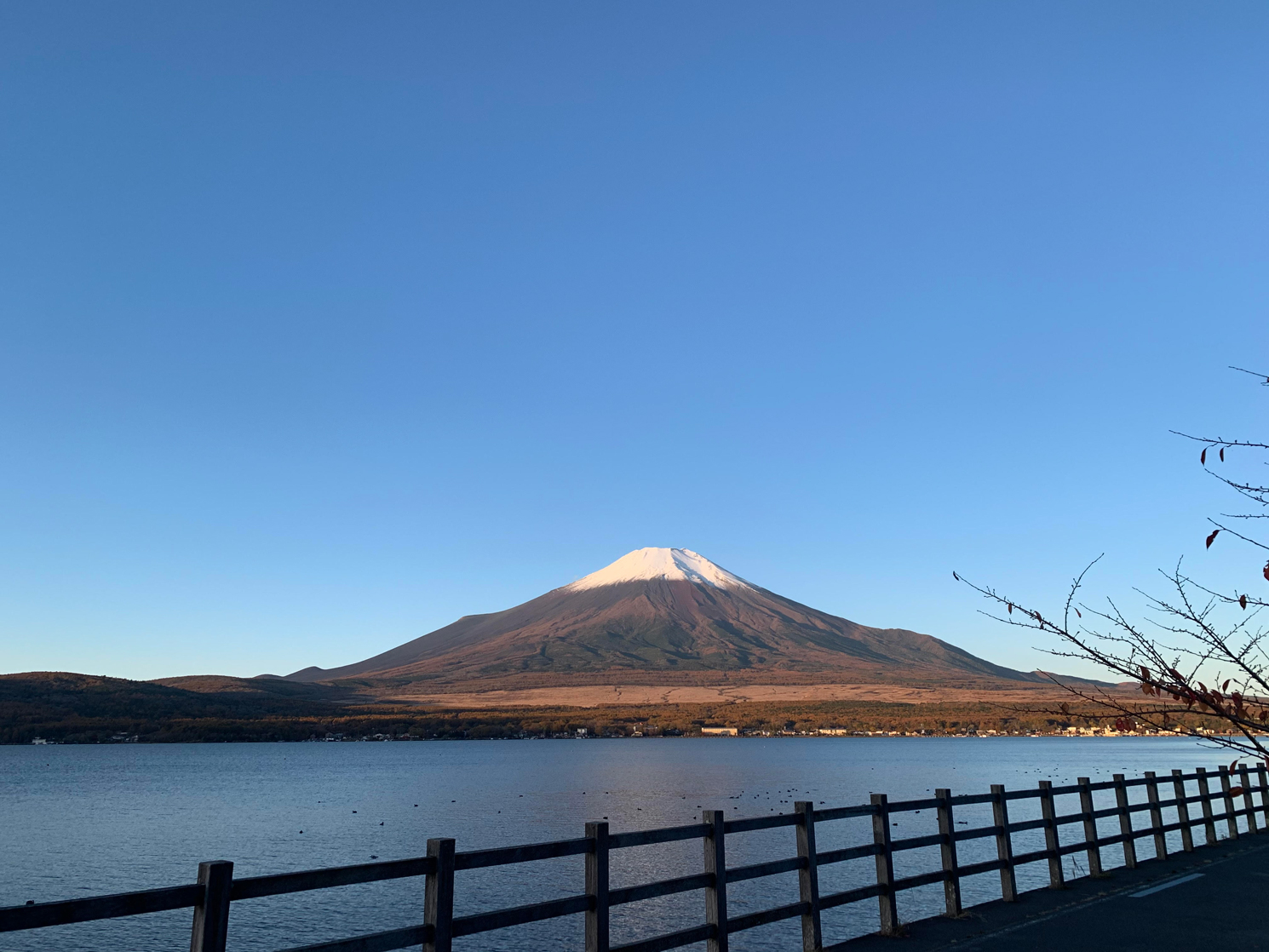 2021年　新年のご挨拶