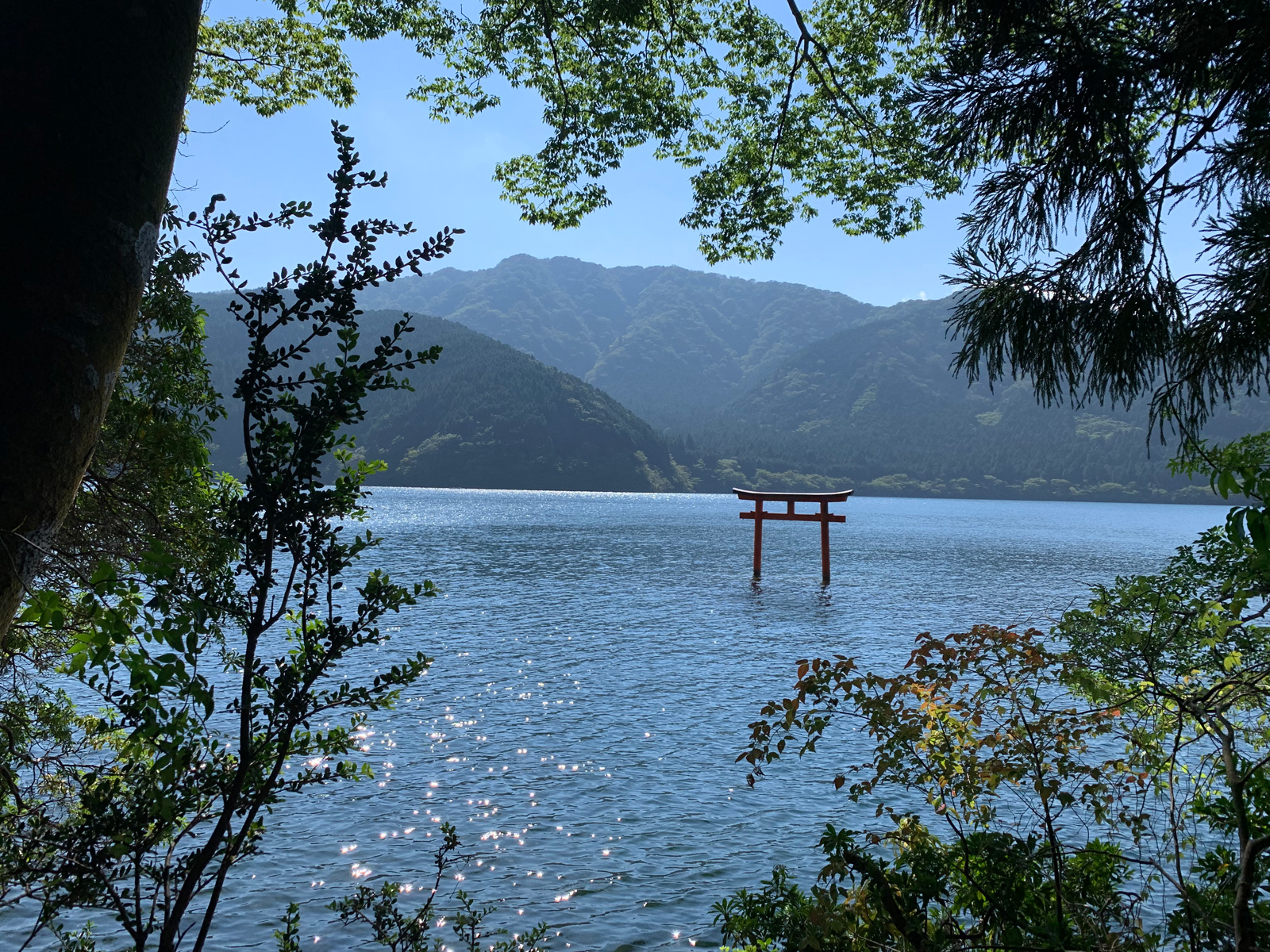 明けましておめでとうございます。