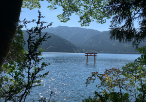 明けましておめでとうございます。