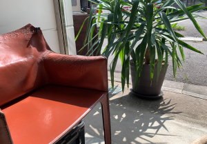 夏季期間限定「極寒ヘッドスパ」オススメ！