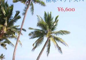「極寒ヘッドスパ」&「冷やしシャンプー」 始めました！