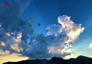 冷やしマッサージシャンプー50%OFF！