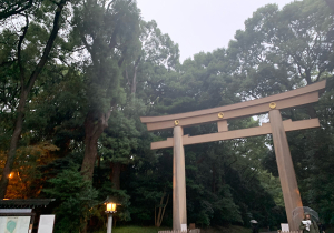 年内最後のキャンペーンです♪