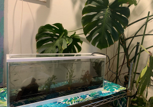 店舗外装工事のお知らせ