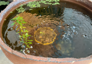 冷やしシャンプー&極寒ヘッドスパ+ヘアカット