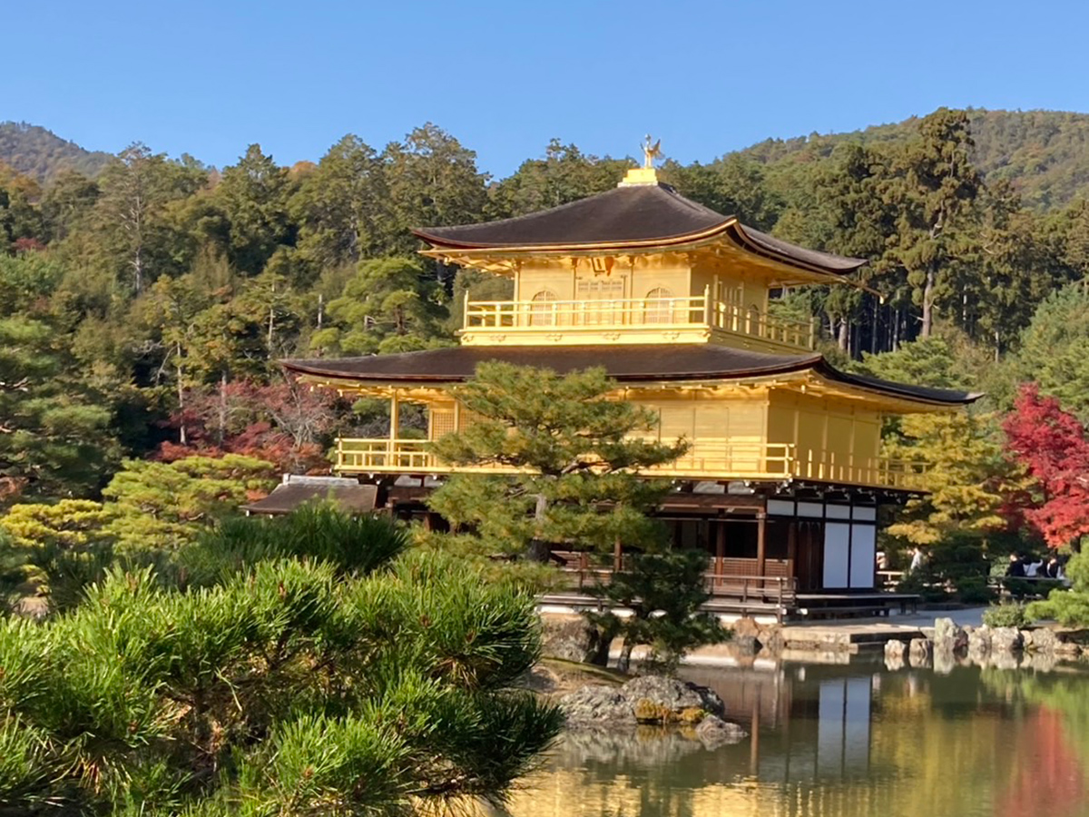新年おめでとうございます♪
